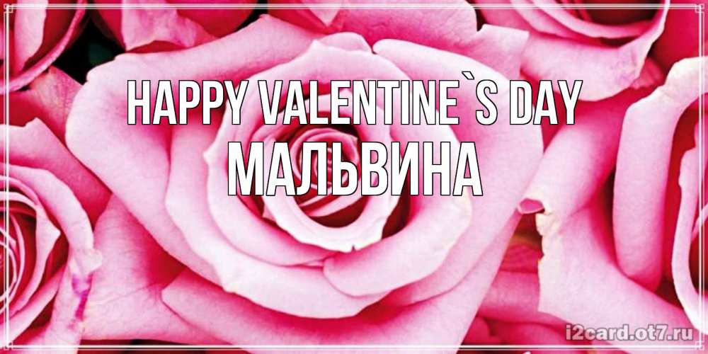 Greetings card с именем, Мальвина Happy Valentine`s Day роза розовая на день Святого Валентина Greetings with text for free download 